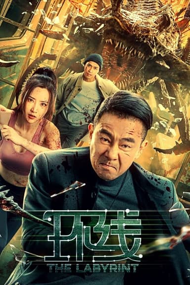 Vòng Lặp / Tuyến Đường Vòng